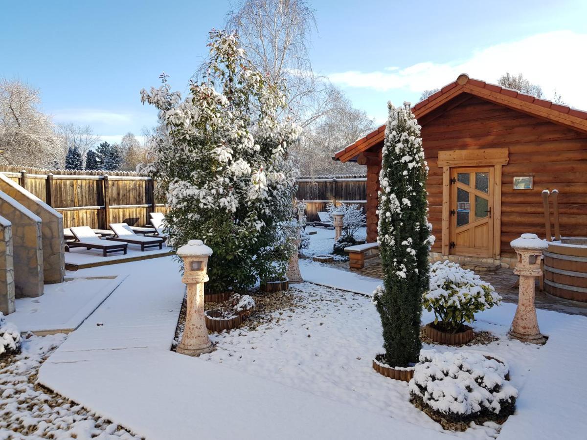 Thermal Apartmanhaz Komarom Bagian luar foto
